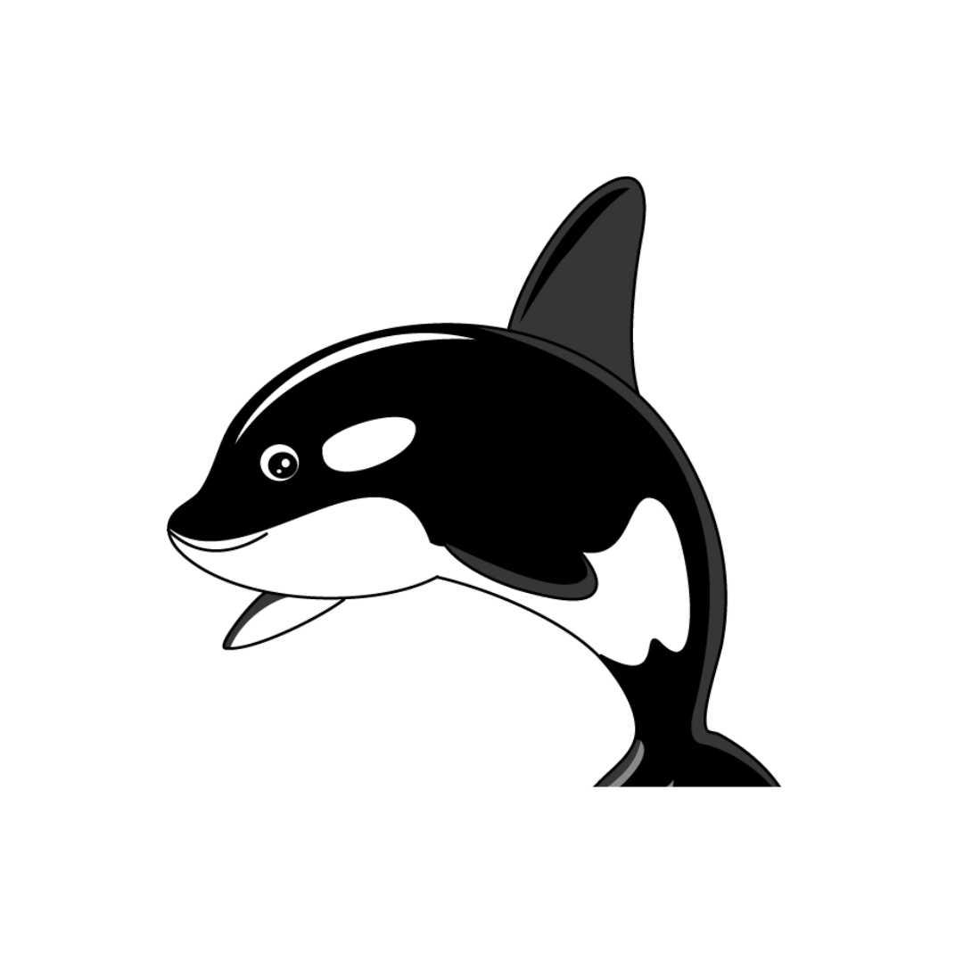 Orca